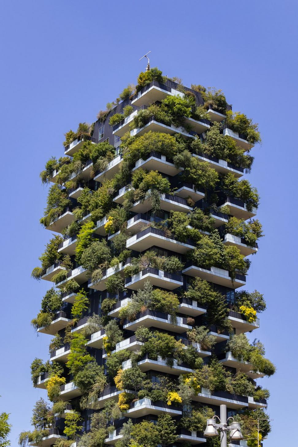 Sustainable Architecture Consulting